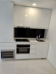 Spottiswoode Suites (D2), Apartment #559697831